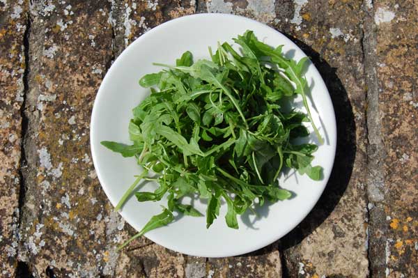 Tagliatelle with speck and rucola