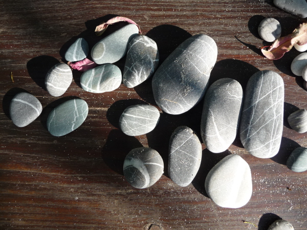 Books, trees and pebbles…